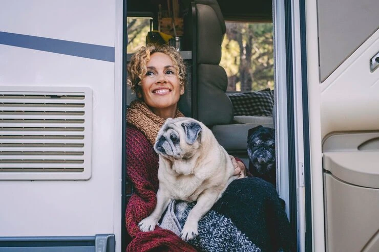Pet Transport UK to USA Safe International Relocation Service