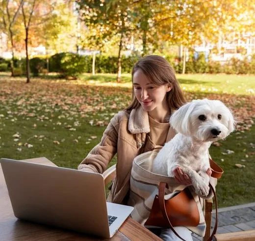 Pet Travel Documentation Management