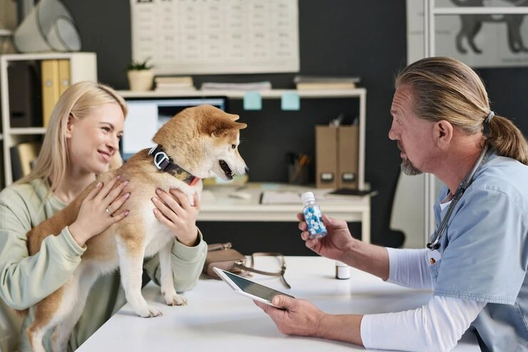 Pre Travel Planning and Veterinary Preparation