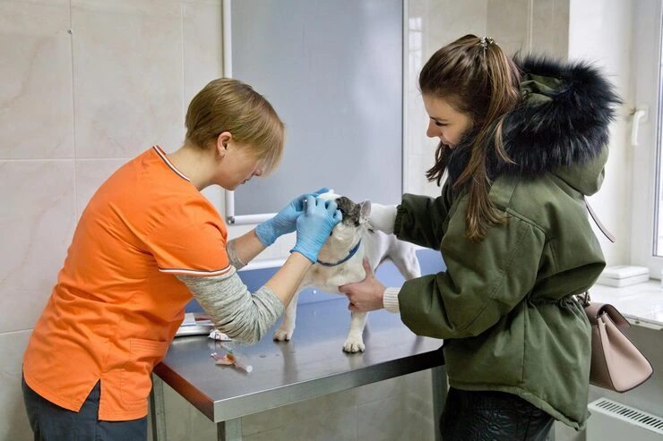 Quarantine Management and Release Handling