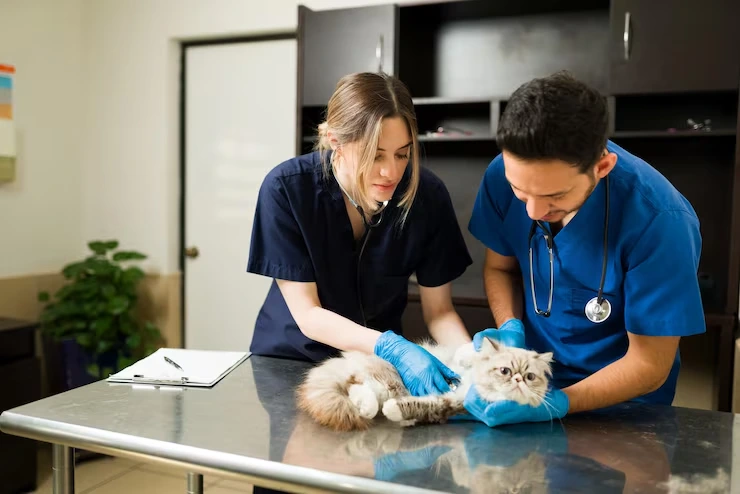 Veterinary Compliance and Health Coordination