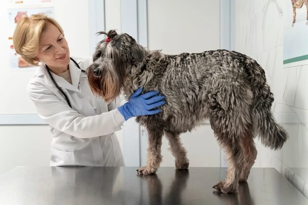 Veterinary Compliance and Health Preparation