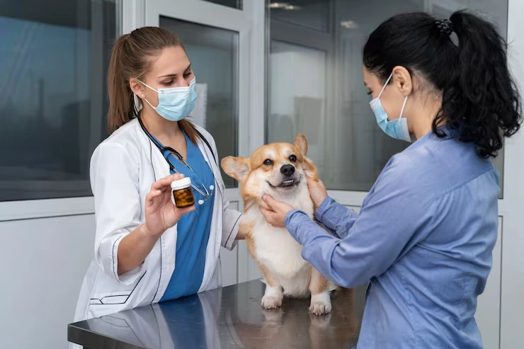 Veterinary Documentation and Health Certification