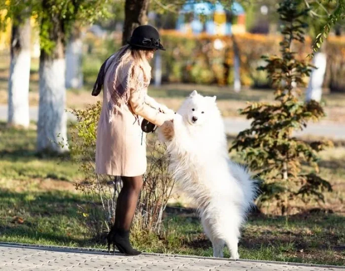 Air Freight Booking and Cargo Route Control