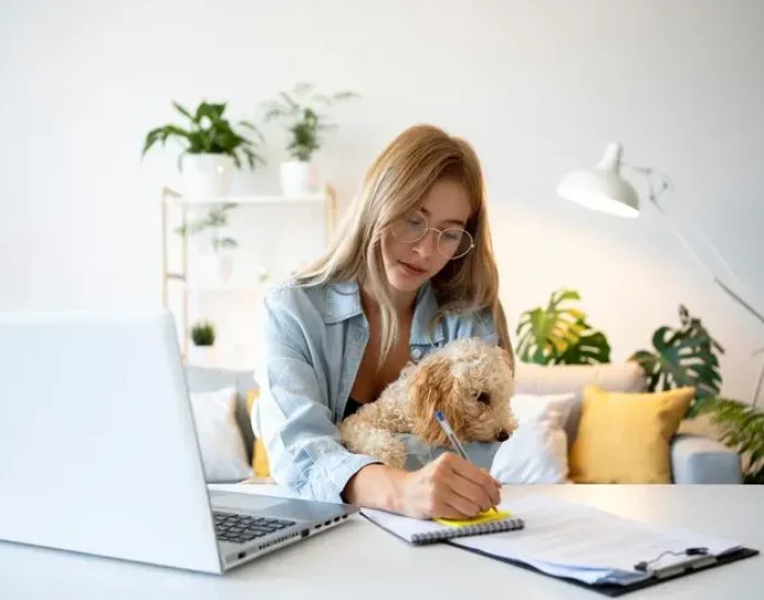 Airline-Approved Pet Flight Coordination