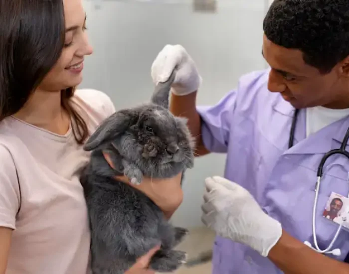 Airline Booking, Routing, and Crate Plannin