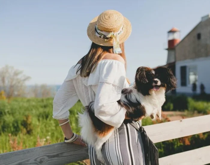 Airline Booking and Routing Management of pets