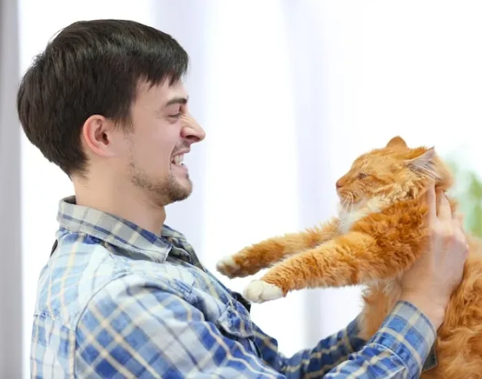 Airline Coordination for Pet Travel to Dubai