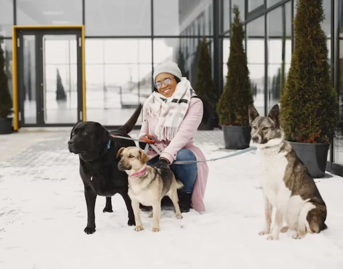 Airline Logistics and Route Coordinationb