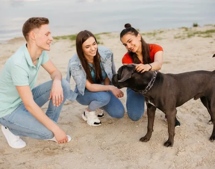 Airline and Route Management