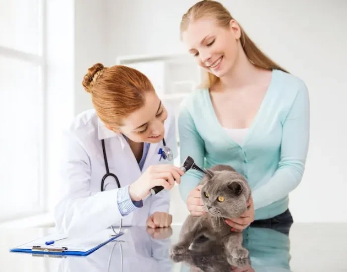 Airport Check-In Assistance in Manchester