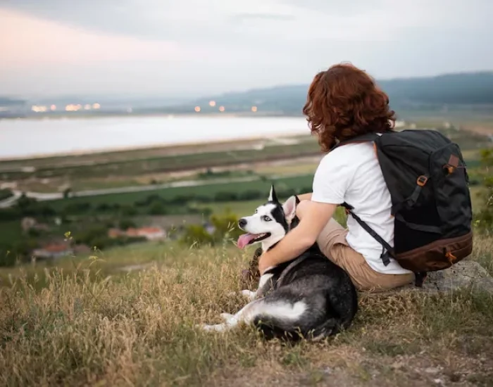 Airport Coordination in Newcastle & Doha