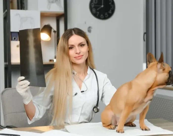 Airport Handling and Check-In Supervision