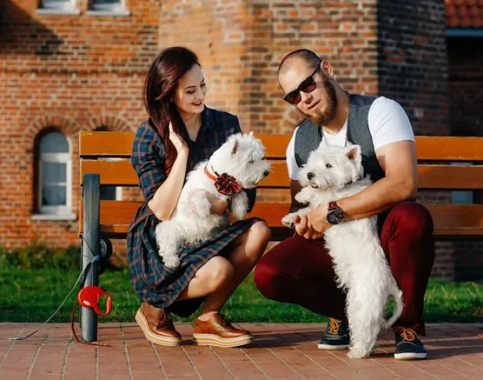 Airport Handling and Check-In Support