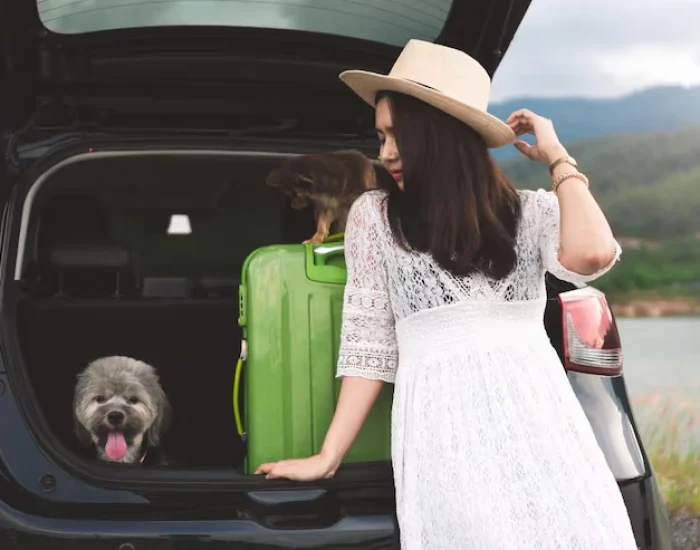 Airport Handling in Kenya (Nairobi & Mombasa)