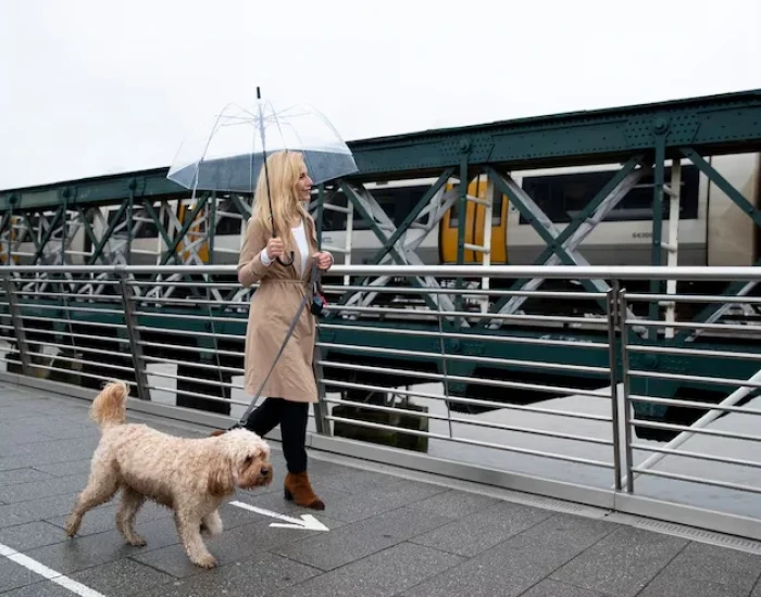 Airport Liaison and Handover Supervision