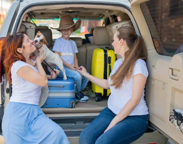 Airport Transfers for Dogs in Manchester