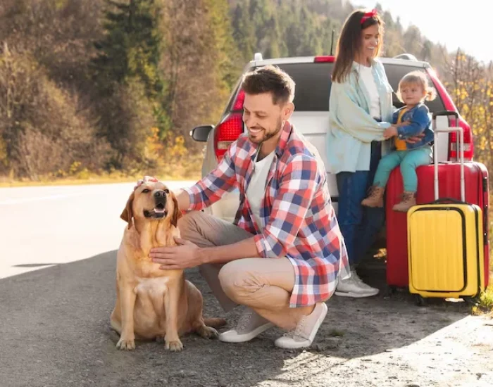 Airport-to-Liverpool Celebrity Pet Courier Transfe