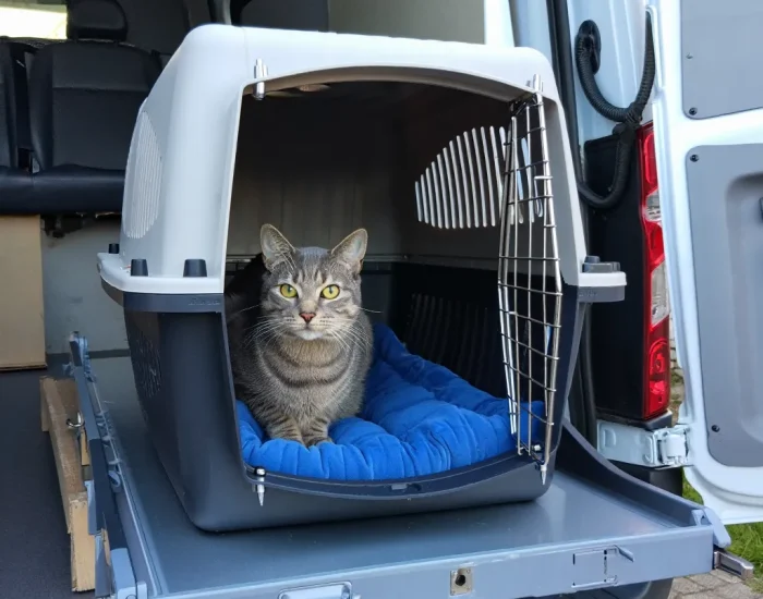 Approved Transport Methods for Spain to UK Routes