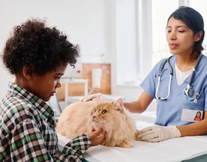 Arrival Coordination and UK Entry Support