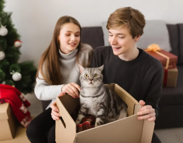 Arrival Coordination in Santiago, Chilefg