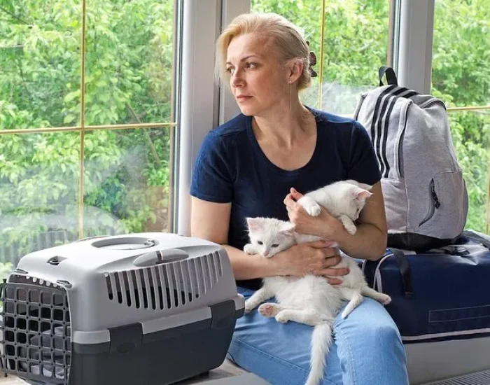 Arrival Coordination in Washington DC