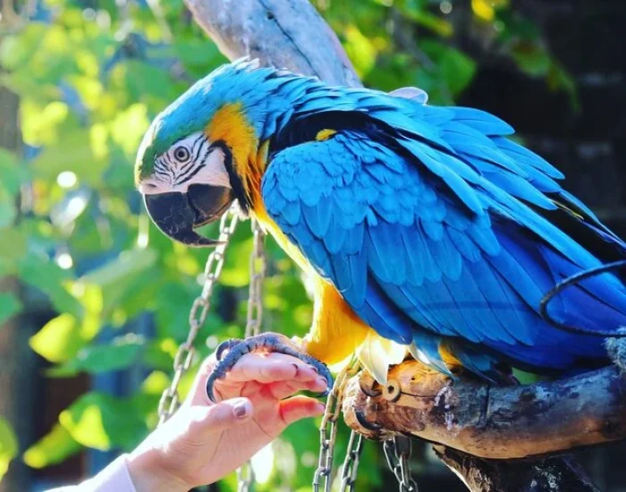 Arrival Management and Customs Clearance