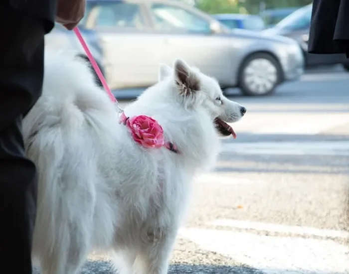 Arrival Support & Local Transition Assistance in Muscat