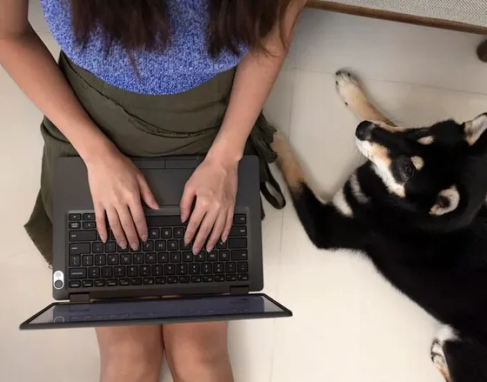 Arrival Support in Riyadh