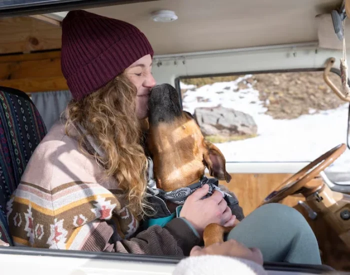 Arrival and Customs Coordination