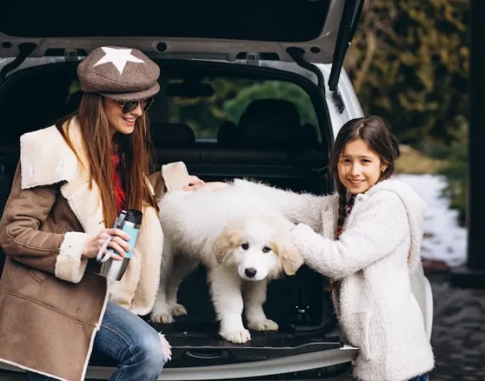 Avoid Travelling During the Hottest Times