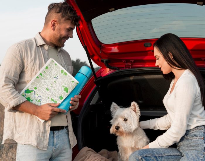 Packing for Your Pet: What to Bring Along