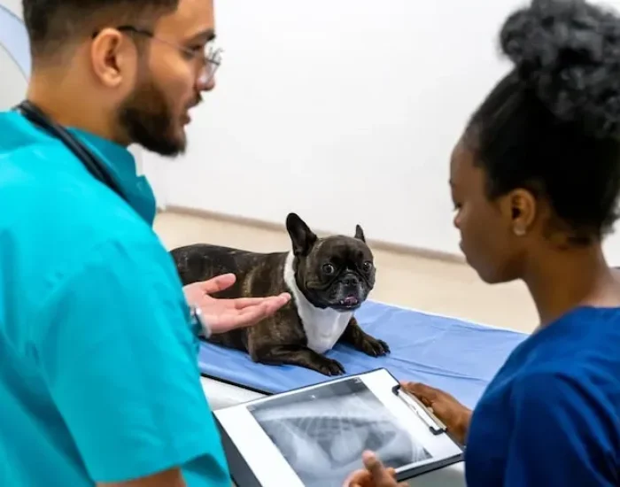 Border Clearance and Arrival Management