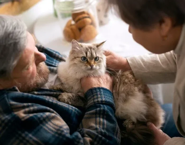 Breed-Specific and Special Consideration Transport