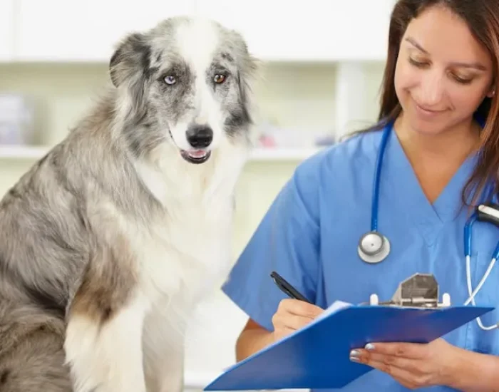 Breed and Health Compliance Review