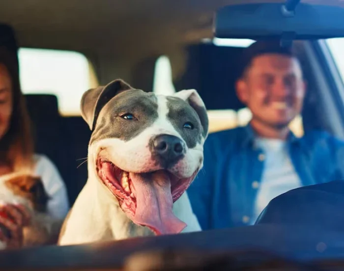 Breeder & Kennel Courier Services