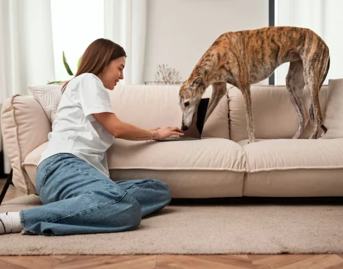 Cairo Arrival Handling and Customs Coordination