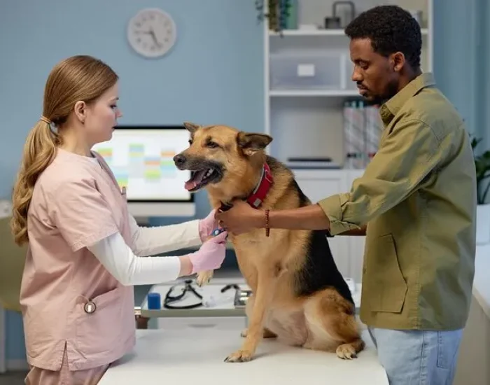 Canadian Import Clearance in Montreal