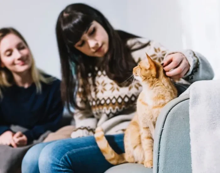 Climate-Regulated Ground Transport Across Dubai