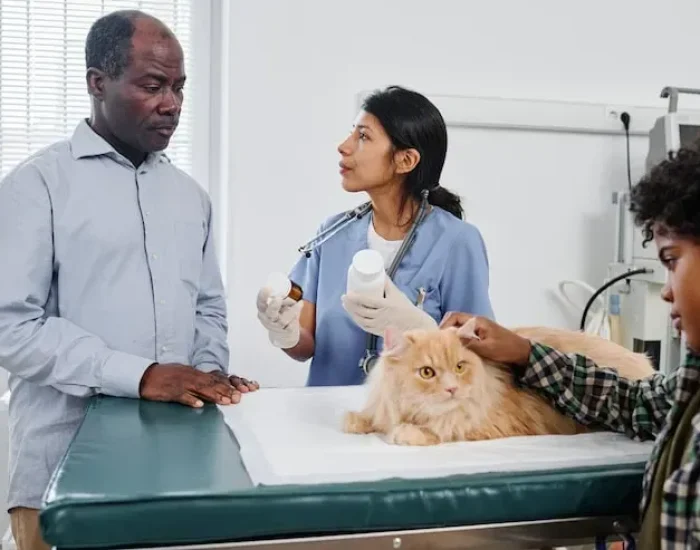 Climate-Regulated Ground Transport