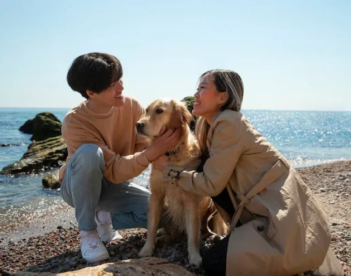 Climate and Crate Planning for Show Breeds