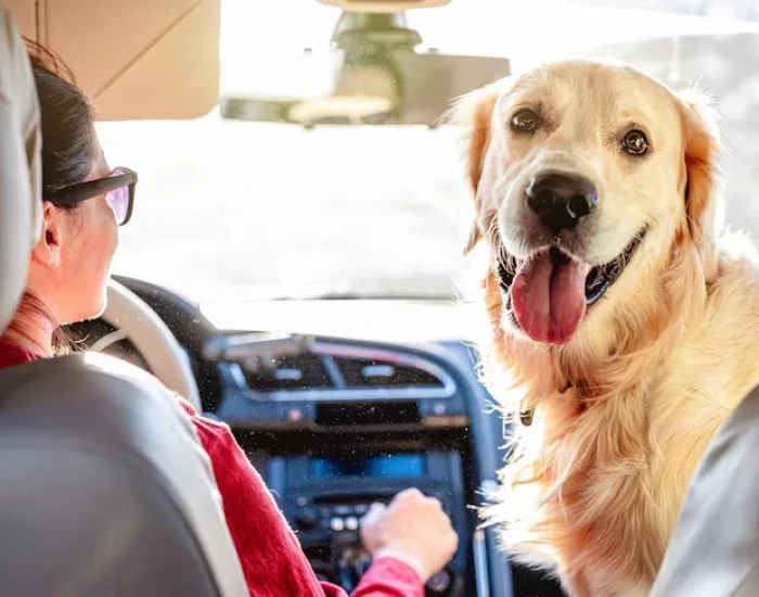 Collection and Airport Transfer from Sheffield