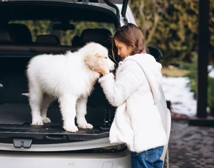 Communication Support Throughout the Journey​