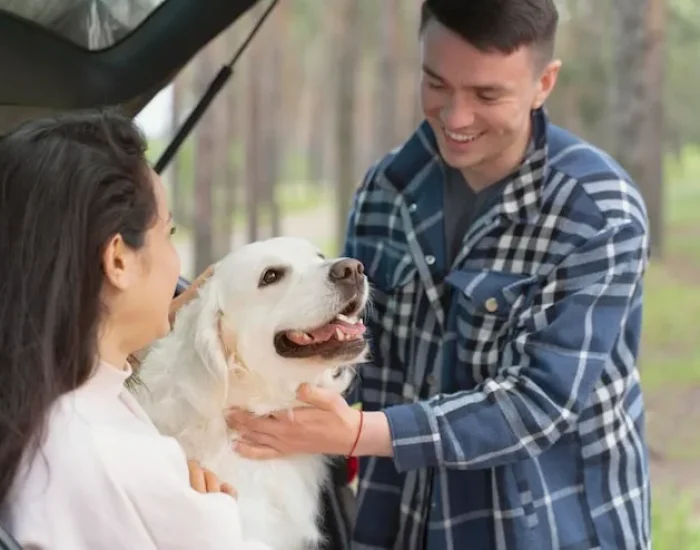 Cooling Products for Pets