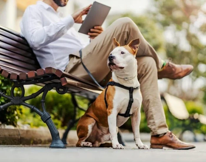 Corporate Mobility Pet Policy Support
