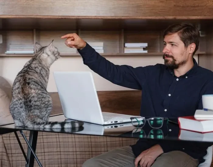 Corporate Mobility and HR Relocation Support