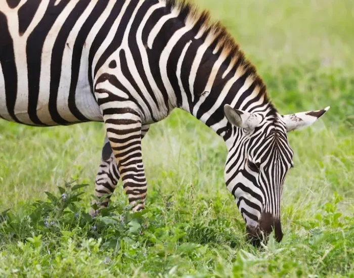 Corporate and Partner Logistics Solutions