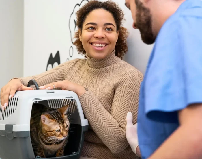 Crate Consultation and Travel Preparatiovg