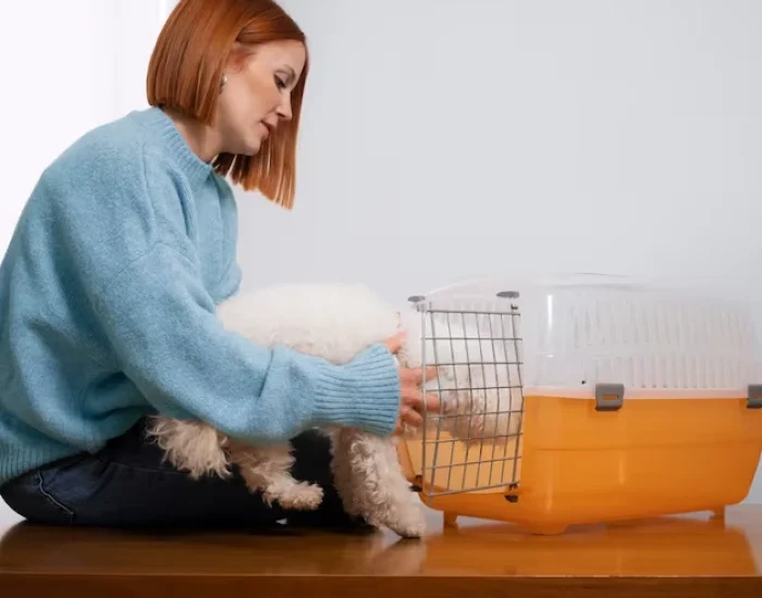 Crate Preparation and Animal Welfare Managementu