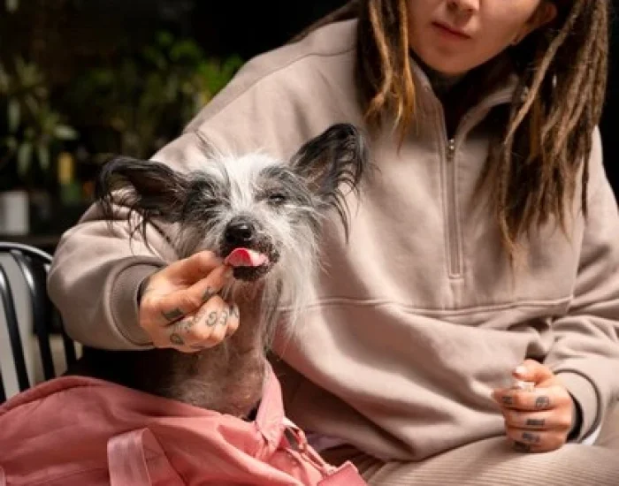 Crate Sizing, Preparation & Comfort Plannino